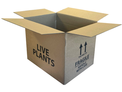 New Printed Strong Single Wall Box - 280mm x 212mm x 220mm