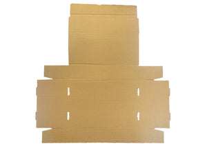 diecut postal box laid flat to show folding areas