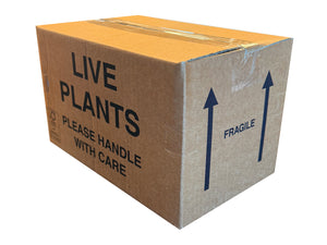 A closed, printed carton, designed for packing and shipping live plants. 