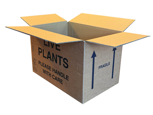 New Printed Strong Single Wall Box - 273mm x 180mm x 176mm