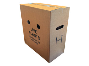 Cardboard box labeled 'Live Plants Please Handle with Care' on a white background