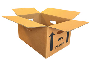 A brand new, printed box, manufactured for shipping live plants. 
