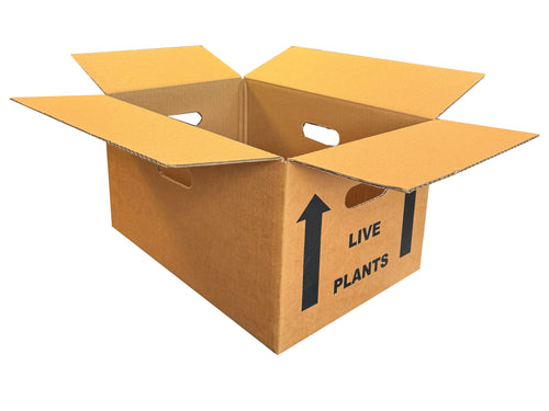 New Printed Strong Single Wall Box - 425mm x 290mm x 229mm