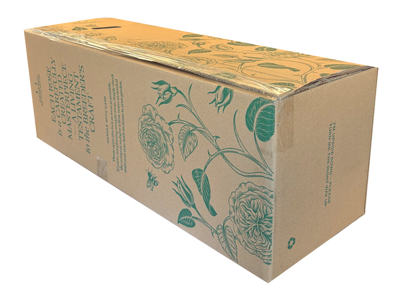 Cardboard box with green floral designs on a white background