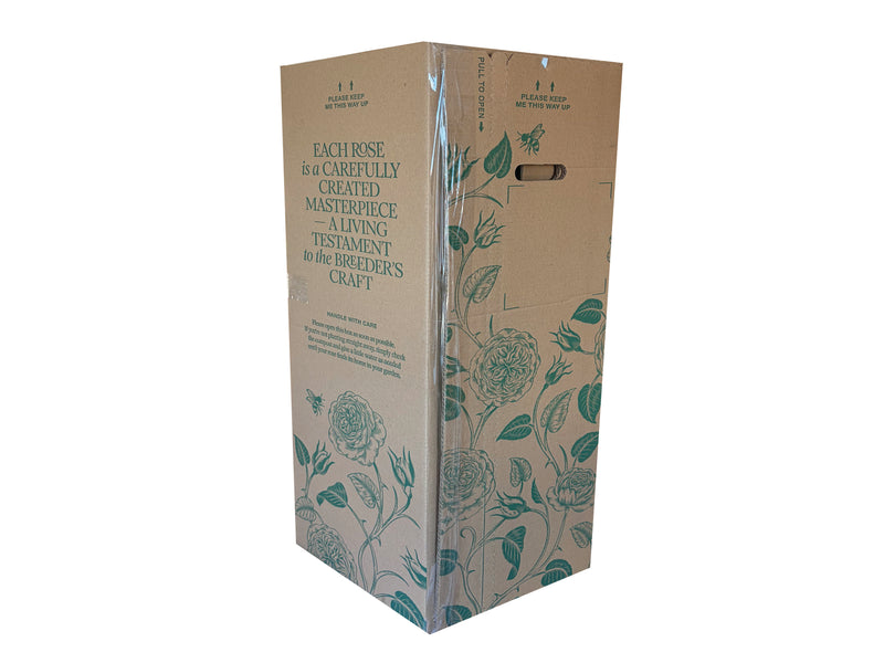 Tall cardboard box with green floral design and text on a white background