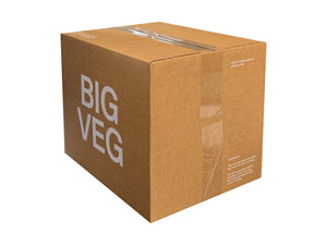A brown cardboard shipping box with the words 'BIG VEG' printed in large white letters on one side, sealed with clear tape on a white background.