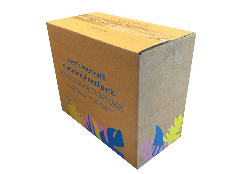 A brown cardboard box for a cat meal pack, featuring blue text that reads 'Here's your cat's purrusalonal meal pack' and colorful abstract fish illustrations in blue, yellow, and purple along the bottom edge, shown on a plain white background.