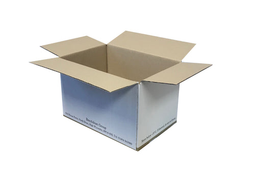 New Printed Single Wall Box - 240mm x 160mm x 140mm
